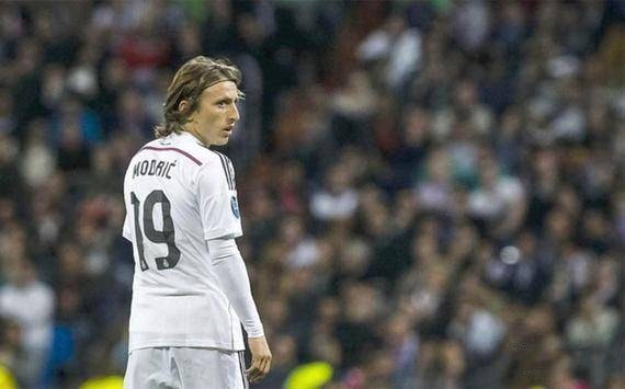 引发众怒，电讯报：摩洛哥为承办国际赛事大规模捕杀流浪狗